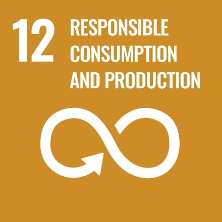 UN target 12 - Verantwortungsvoller Konsum und Produktion